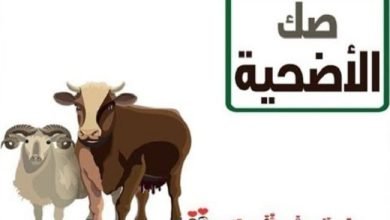 صكوك الأضحية