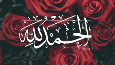 فقه التعامل مع النعم