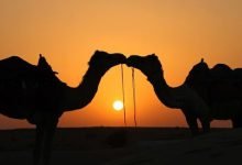 جماع الزوجة في نهار رمضان