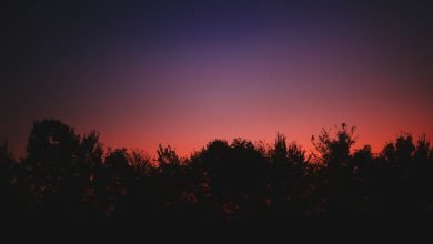 الشك في طلوع الفجر