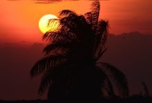 بلد زكاة الفطر